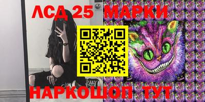 гидропоника Кулебаки