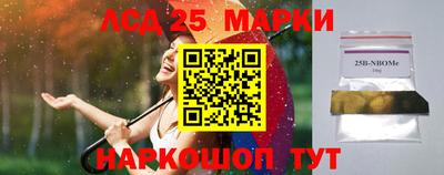 гидропоника Кулебаки