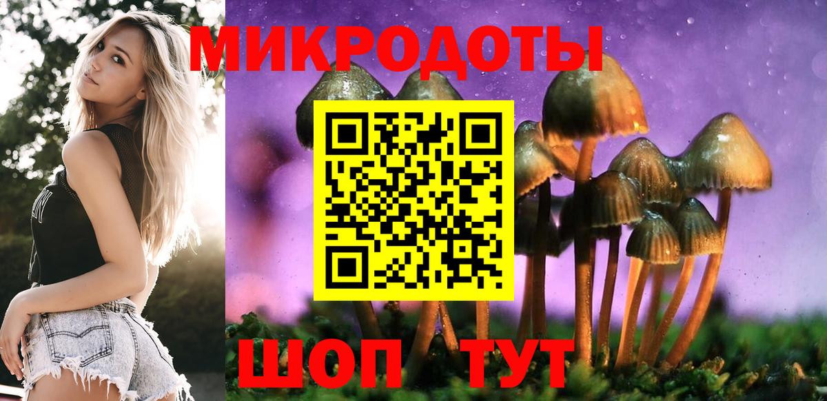 Псилоцибиновые грибы мицелий  Вход с VPN  Химки 